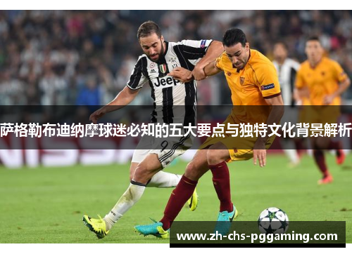 萨格勒布迪纳摩球迷必知的五大要点与独特文化背景解析