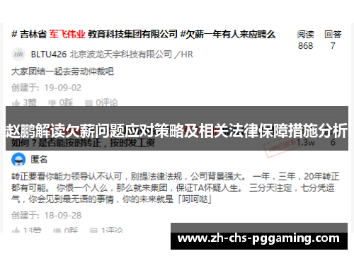 赵鹏解读欠薪问题应对策略及相关法律保障措施分析