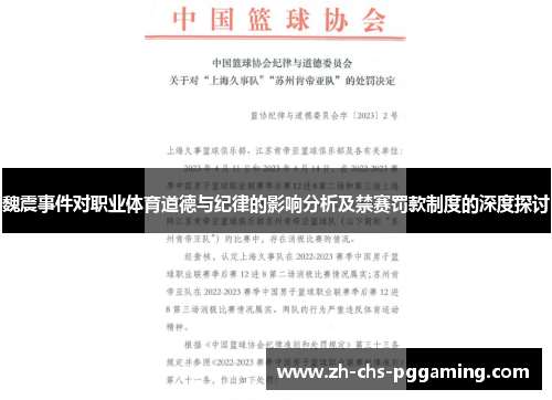 魏震事件对职业体育道德与纪律的影响分析及禁赛罚款制度的深度探讨